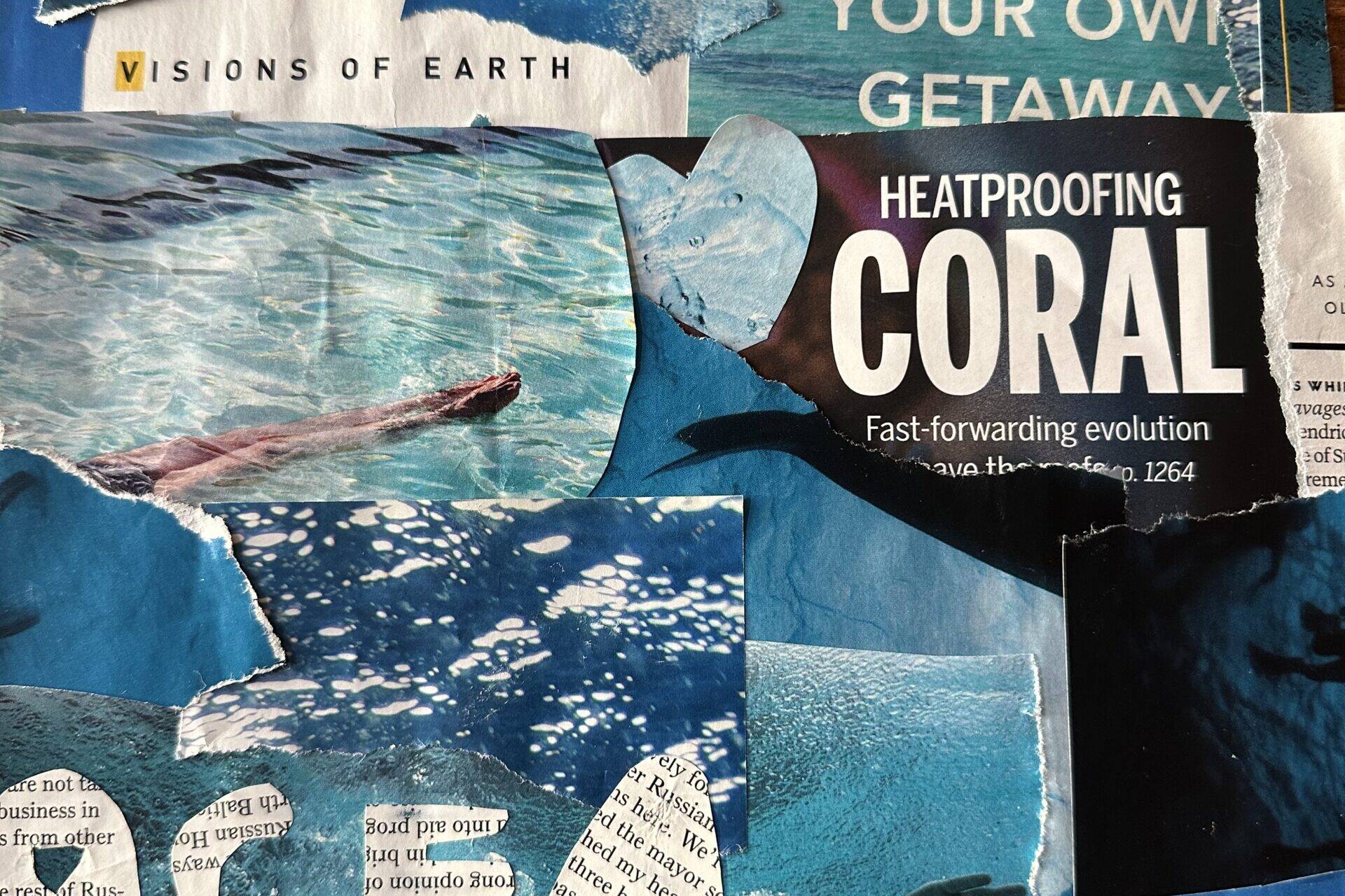 Image of ocean-themed collage
