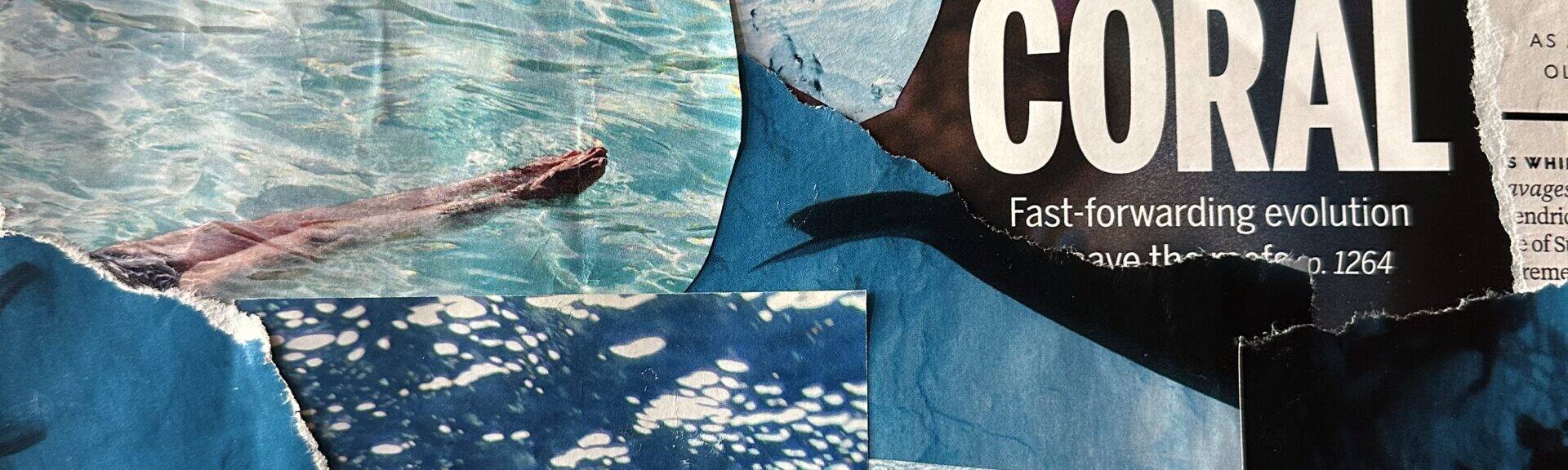 Image of ocean-themed collage