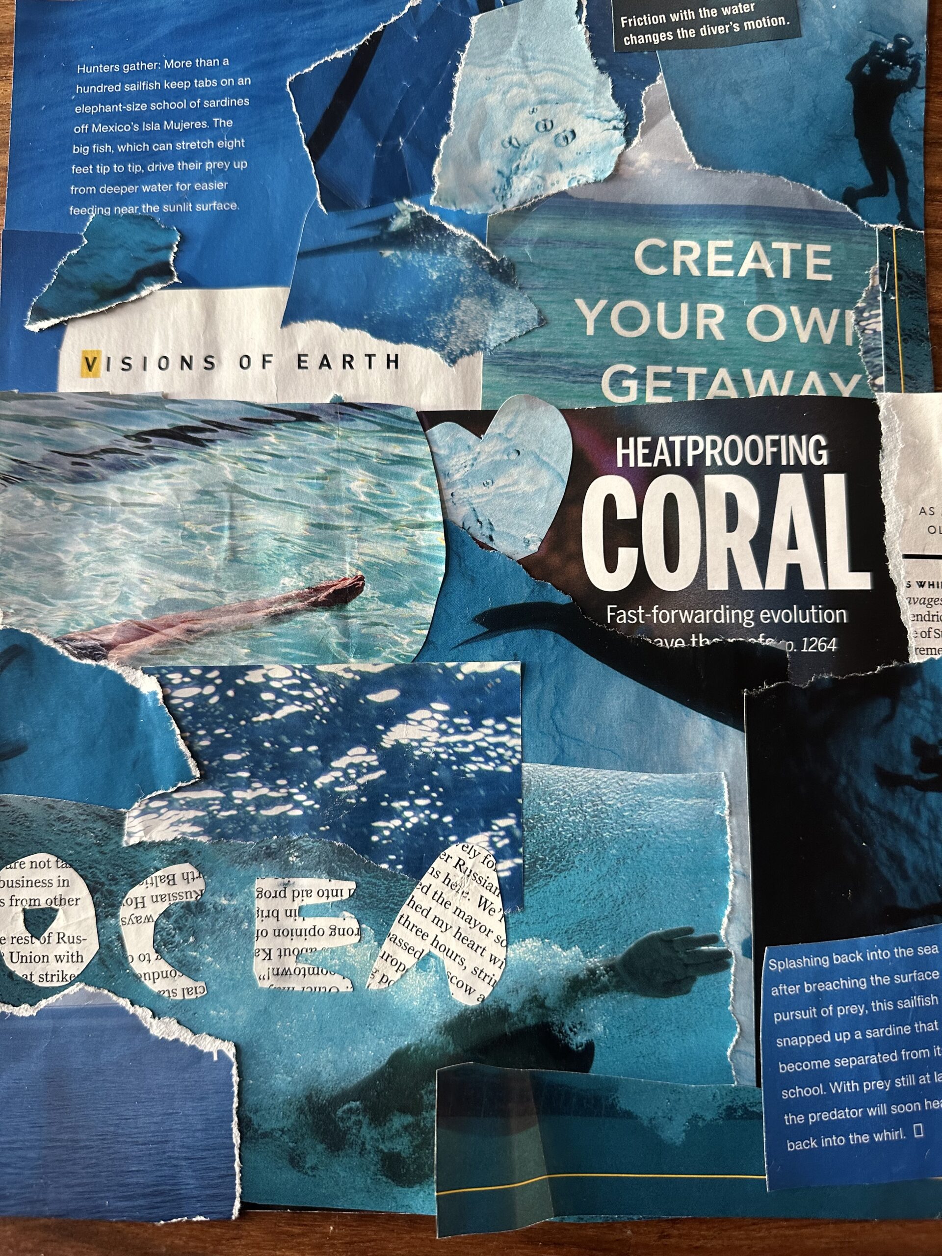 Image of ocean-themed collage